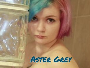 Aster_Grey