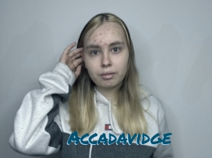 Accadavidge