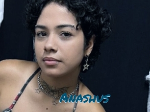 Anashus