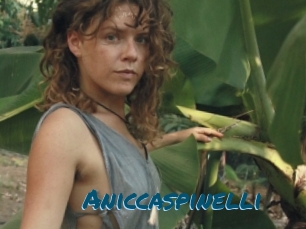 Aniccaspinelli