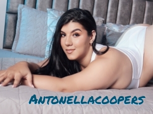 Antonellacoopers