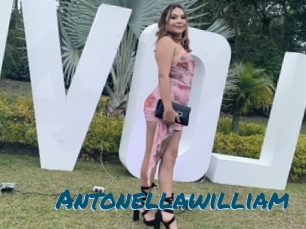 Antonellawilliam