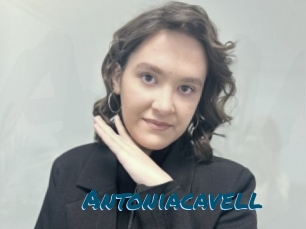 Antoniacavell