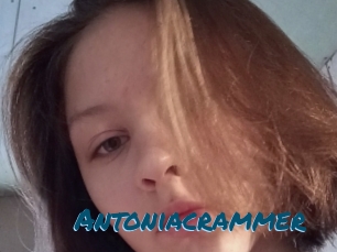 Antoniacrammer