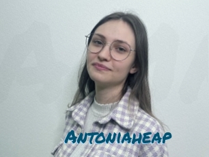 Antoniaheap