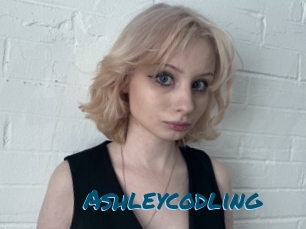 Ashleycodling