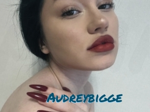 Audreybigge