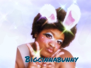 Bigcinnabunny