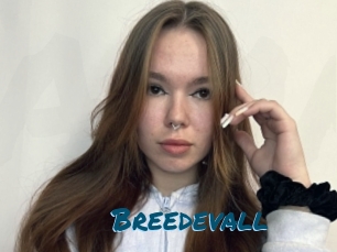 Breedevall