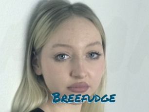 Breefudge