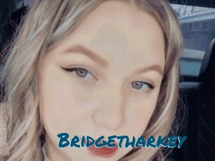Bridgetharkey