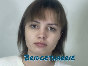 Bridgetharrie