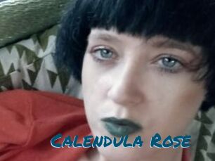 Calendula_Rose
