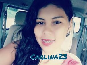 Carlina23