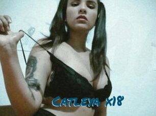 Catleya_x18