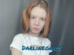 Darlinegrass