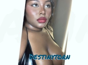 Destinytorn