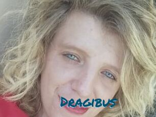 Dragibus