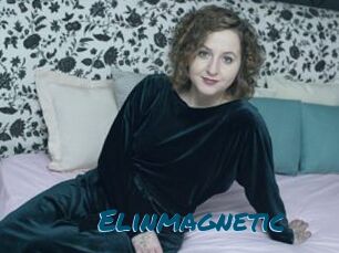 Elinmagnetic