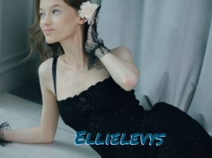 Ellielevys