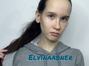 Elvinaabner