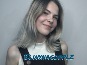 Elwynacopple