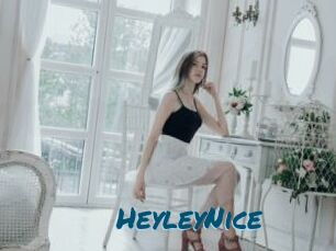 HeyleyNice