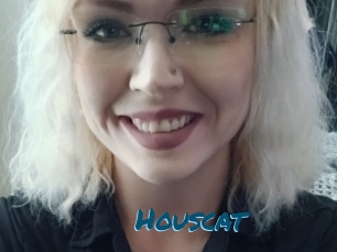 Houscat