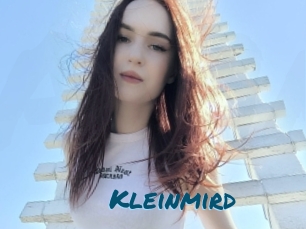 Kleinmird