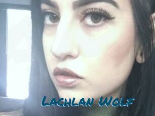 Lachlan_Wolf