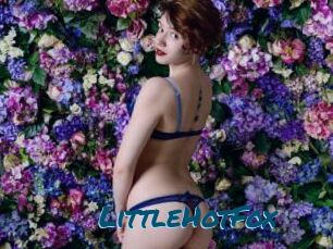 LittleHotFox