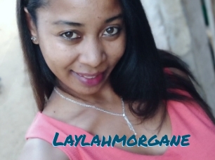 Laylahmorgane