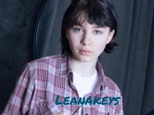 Leanakeys