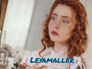 Leyamaller