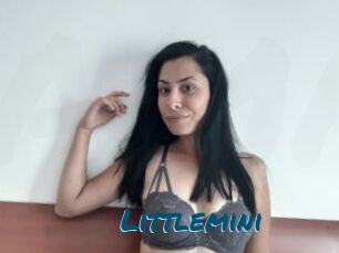 Littlemini