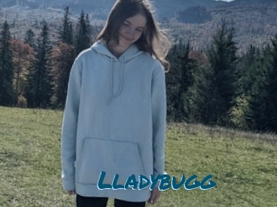 Lladybugg