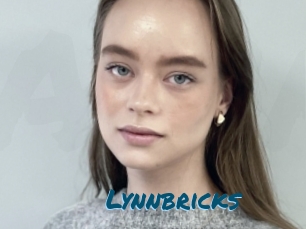 Lynnbricks