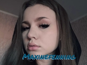 Maxinefenning