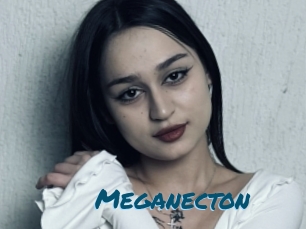 Meganecton