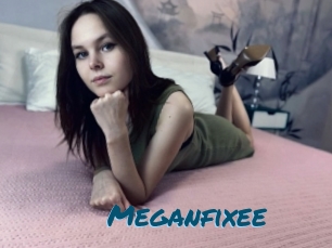 Meganfixee