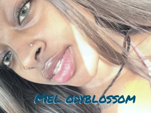 Mel_odyblossom