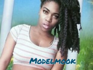 Modelmook