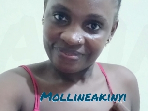 Mollineakinyi