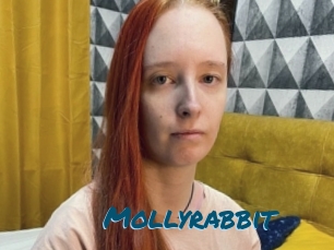 Mollyrabbit