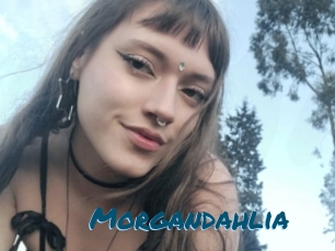 Morgandahlia