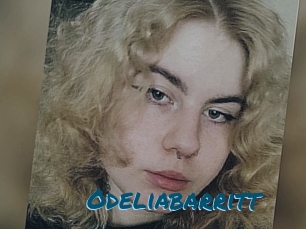 Odeliabarritt