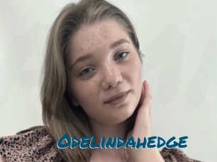 Odelindahedge