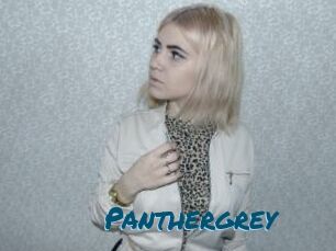 Panthergrey