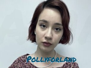 Pollyforland