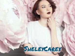 SheleyCarey